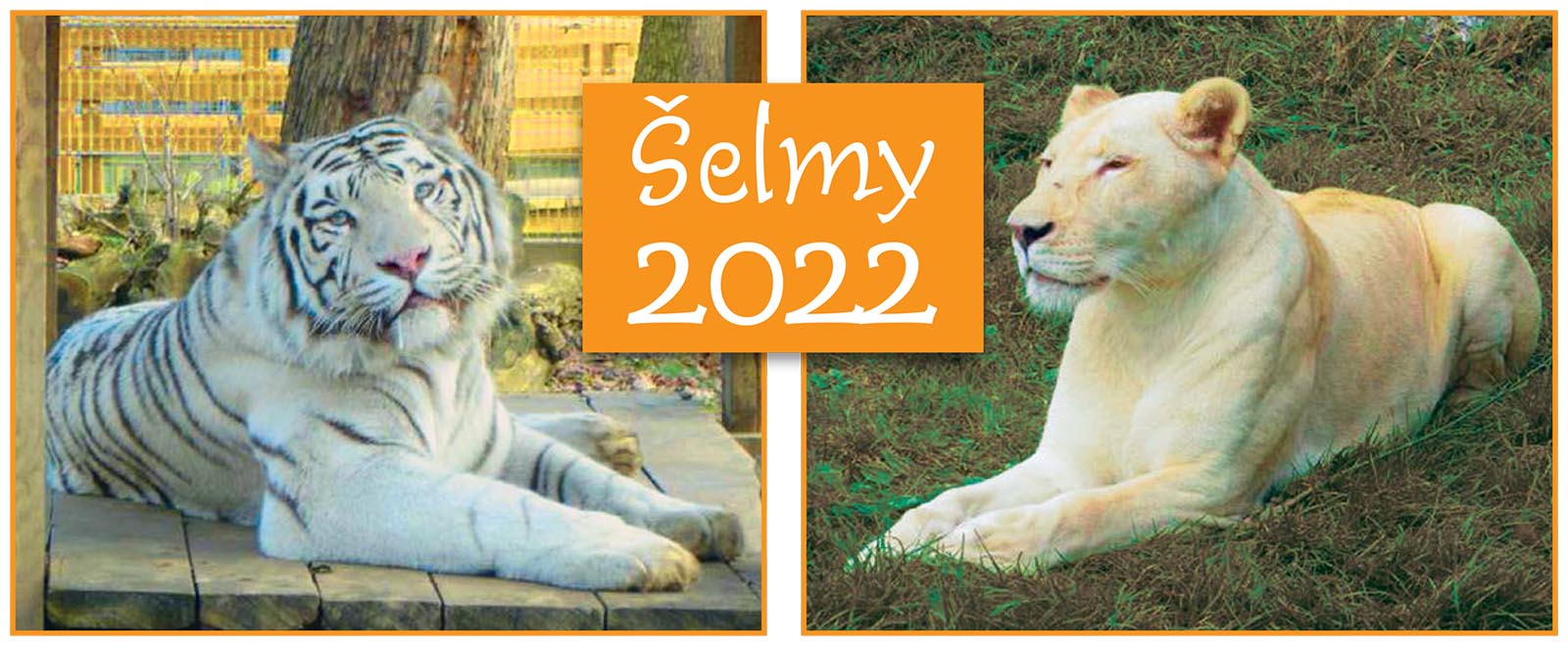 Šelmy 2022