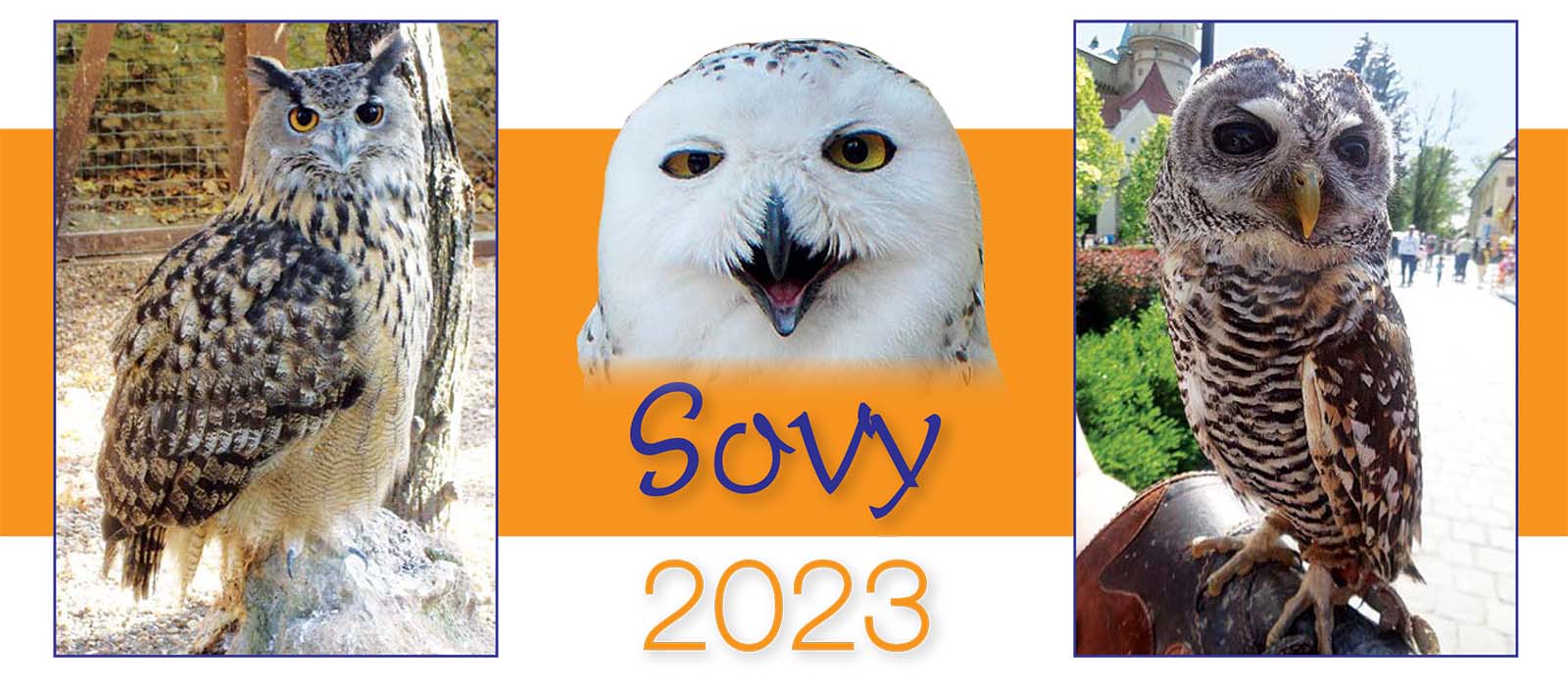 Sovy 2023